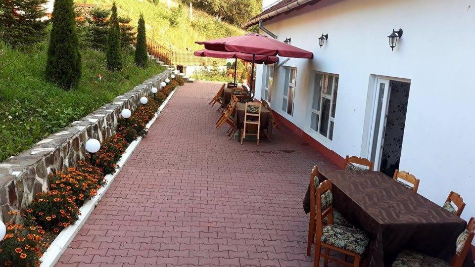 Pensiunea Tinelu Brasov Sacele Exterior photo